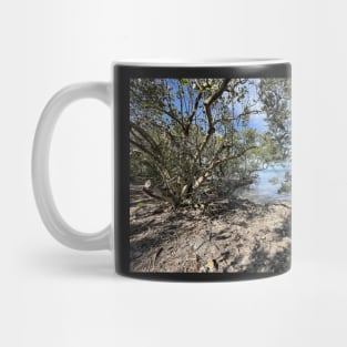 Small Hidden Beach at Robinson Preserve Mug